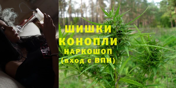 ПСИЛОЦИБИНОВЫЕ ГРИБЫ Осташков