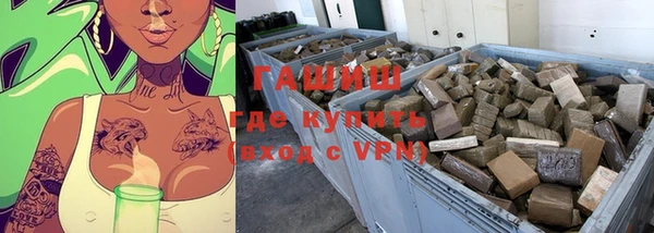 шишки Верея