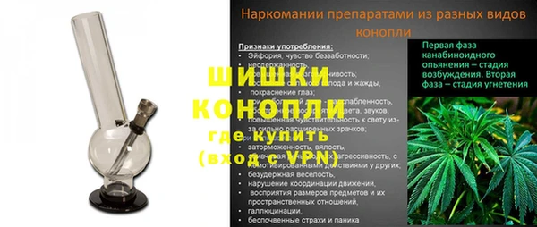 ПСИЛОЦИБИНОВЫЕ ГРИБЫ Осташков