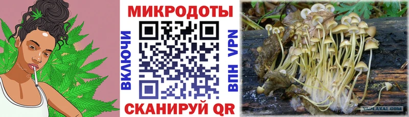 магазин продажи   Константиновск  Псилоцибиновые грибы Psilocybine cubensis 